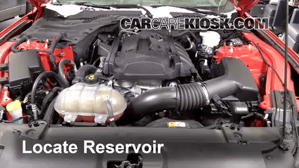 Check Power Steering Level: 2015 Ford Mustang EcoBoost 2.3L 4 Cyl. Turbo